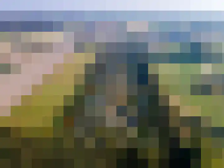 Mooyeveld 2 123 Egmond-Binnen thumbnail 29
