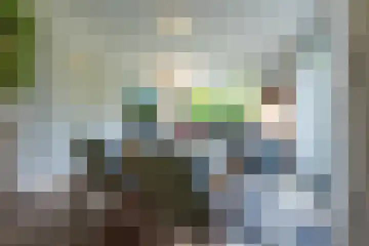 Mooyeveld 2 123 Egmond-Binnen thumbnail 5