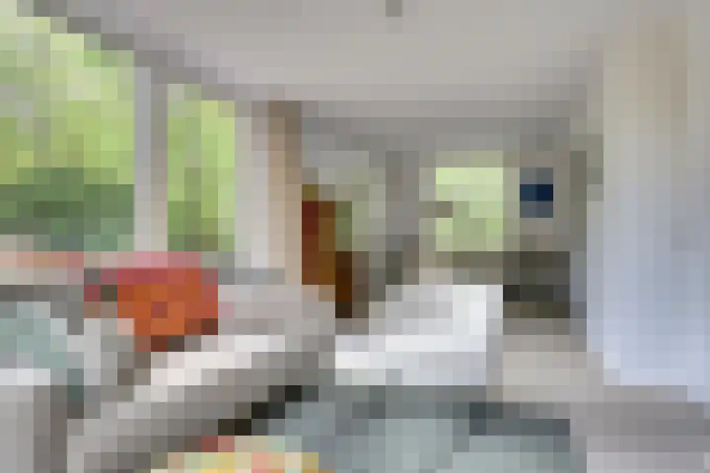 Mooyeveld 2 124 Egmond-Binnen thumbnail 12
