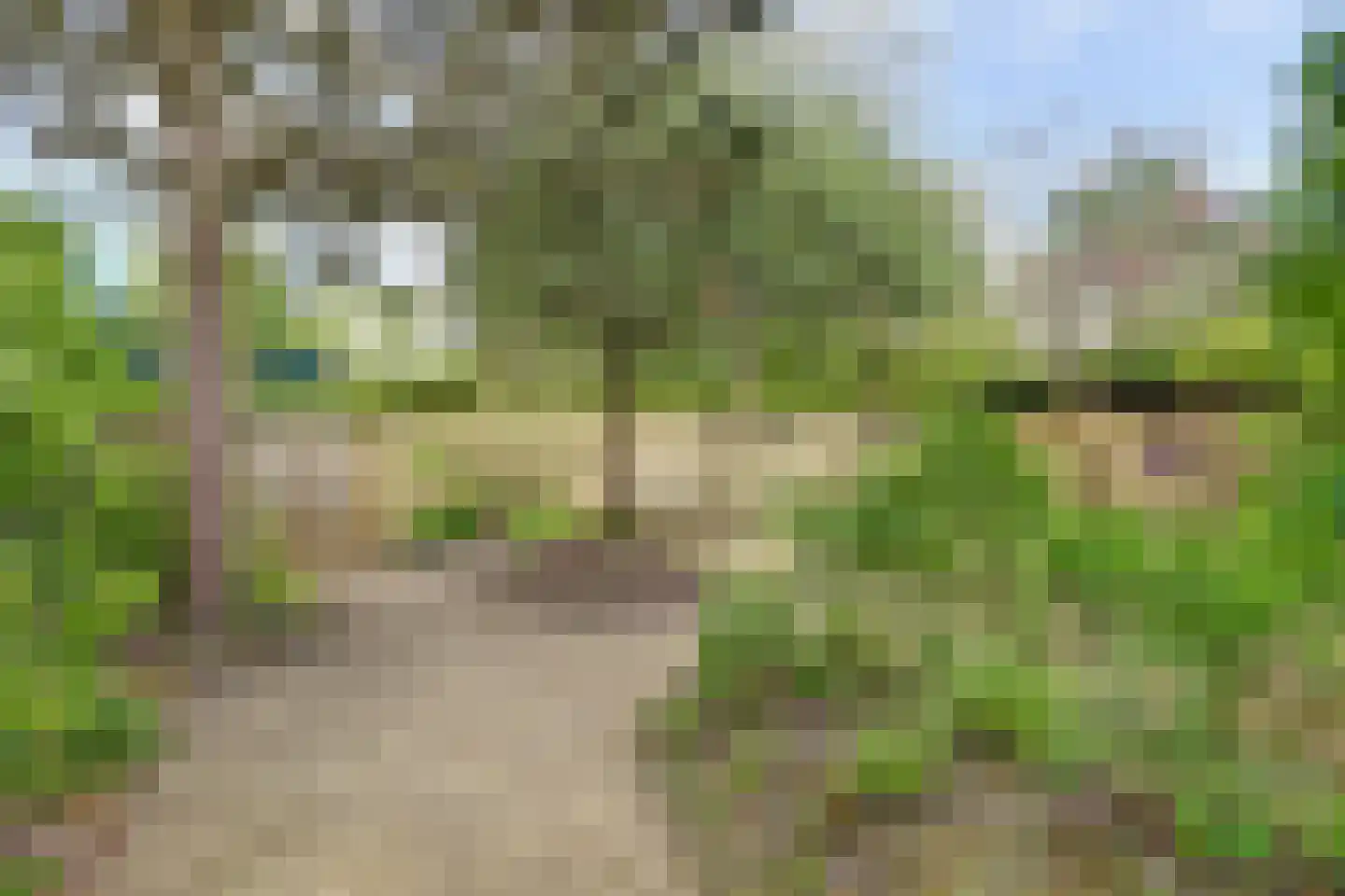 Mooyeveld 2 124 Egmond-Binnen thumbnail 25