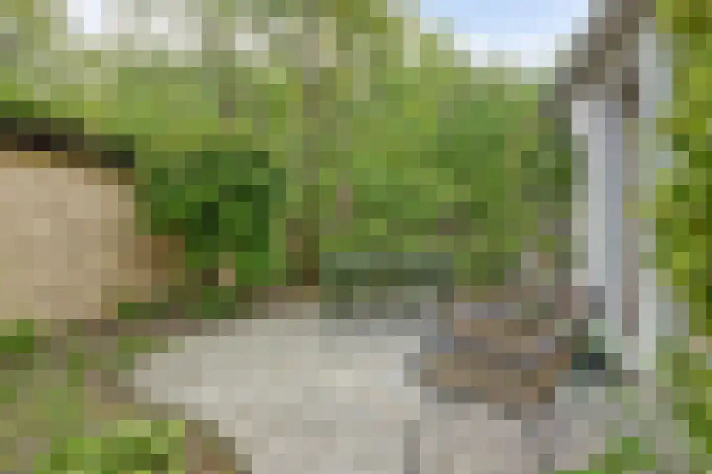 Mooyeveld 2 124 Egmond-Binnen thumbnail 27