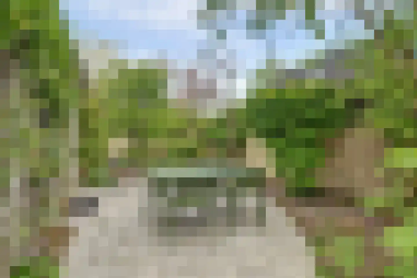 Mooyeveld 2 124 Egmond-Binnen thumbnail 28