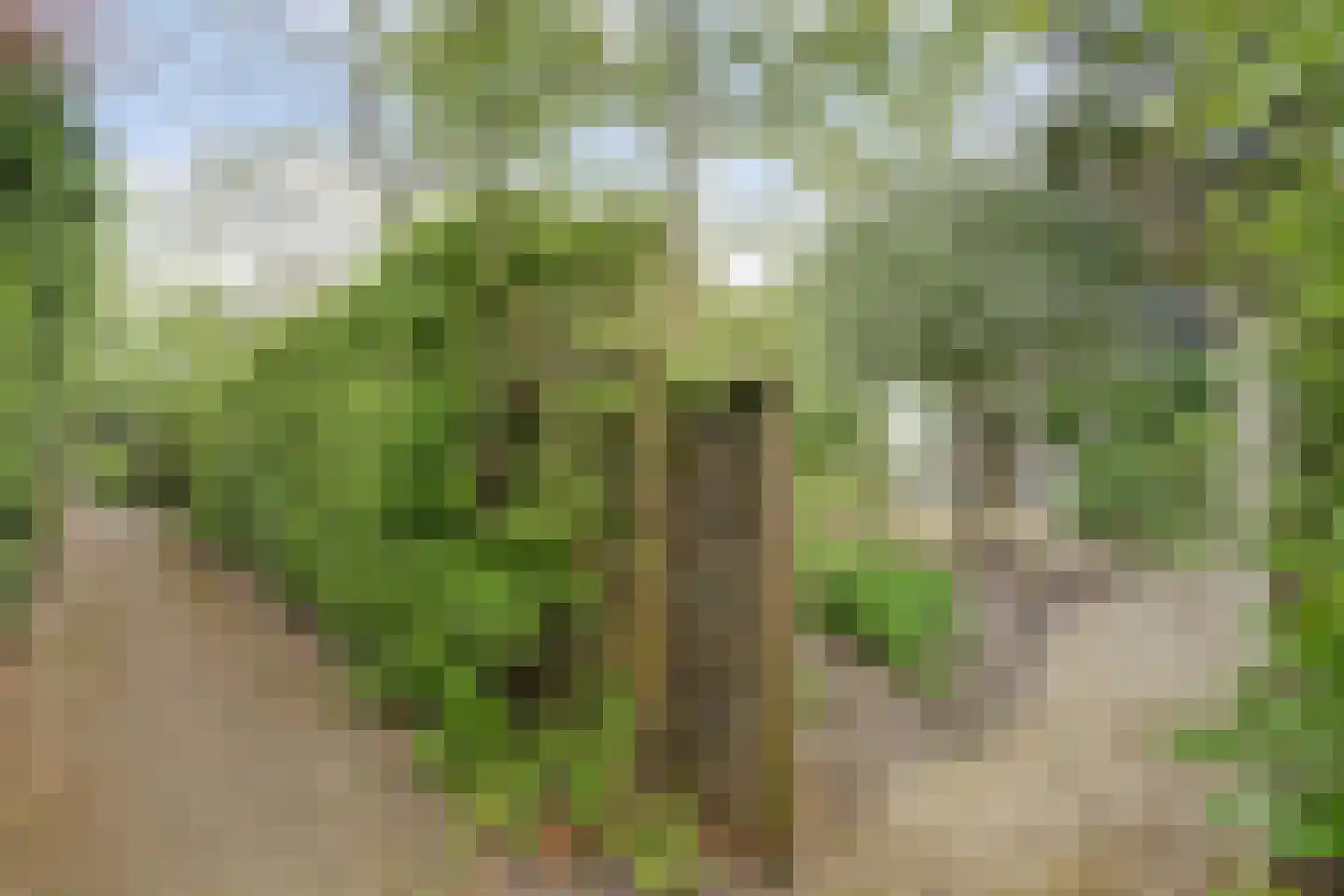 Mooyeveld 2 124 Egmond-Binnen thumbnail 29