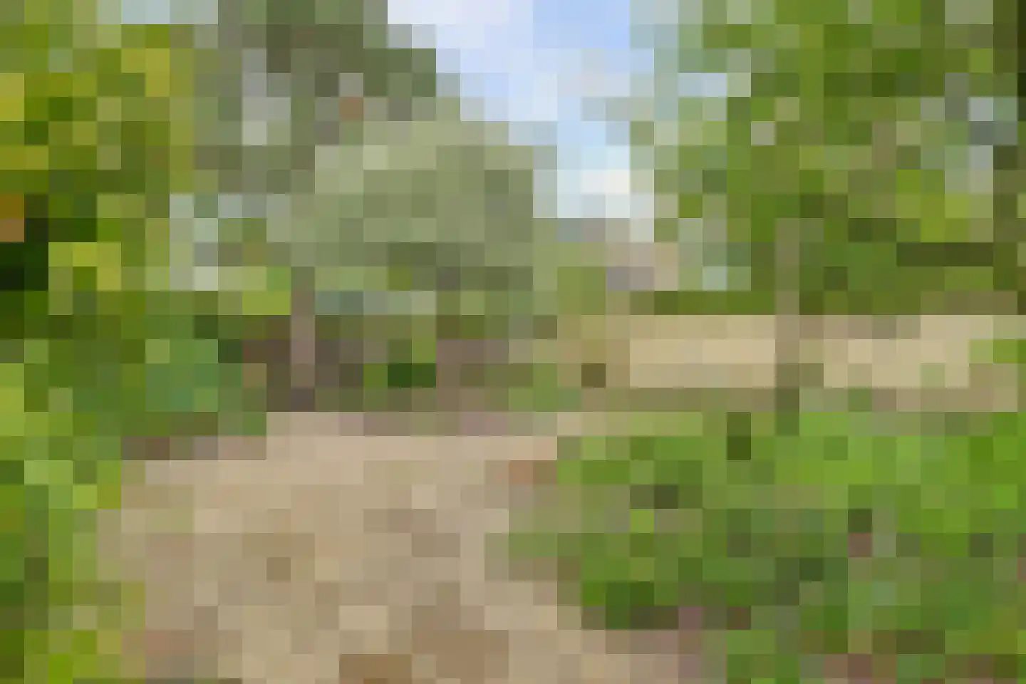 Mooyeveld 2 124 Egmond-Binnen thumbnail 4