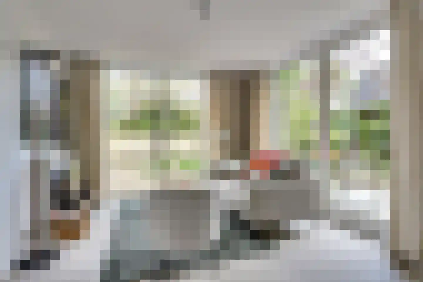 Mooyeveld 2 124 Egmond-Binnen thumbnail 9