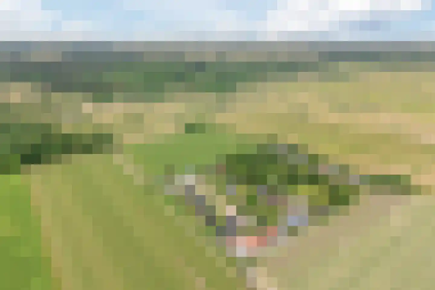 Mooyeveld 4 C 09 Egmond-Binnen thumbnail 39