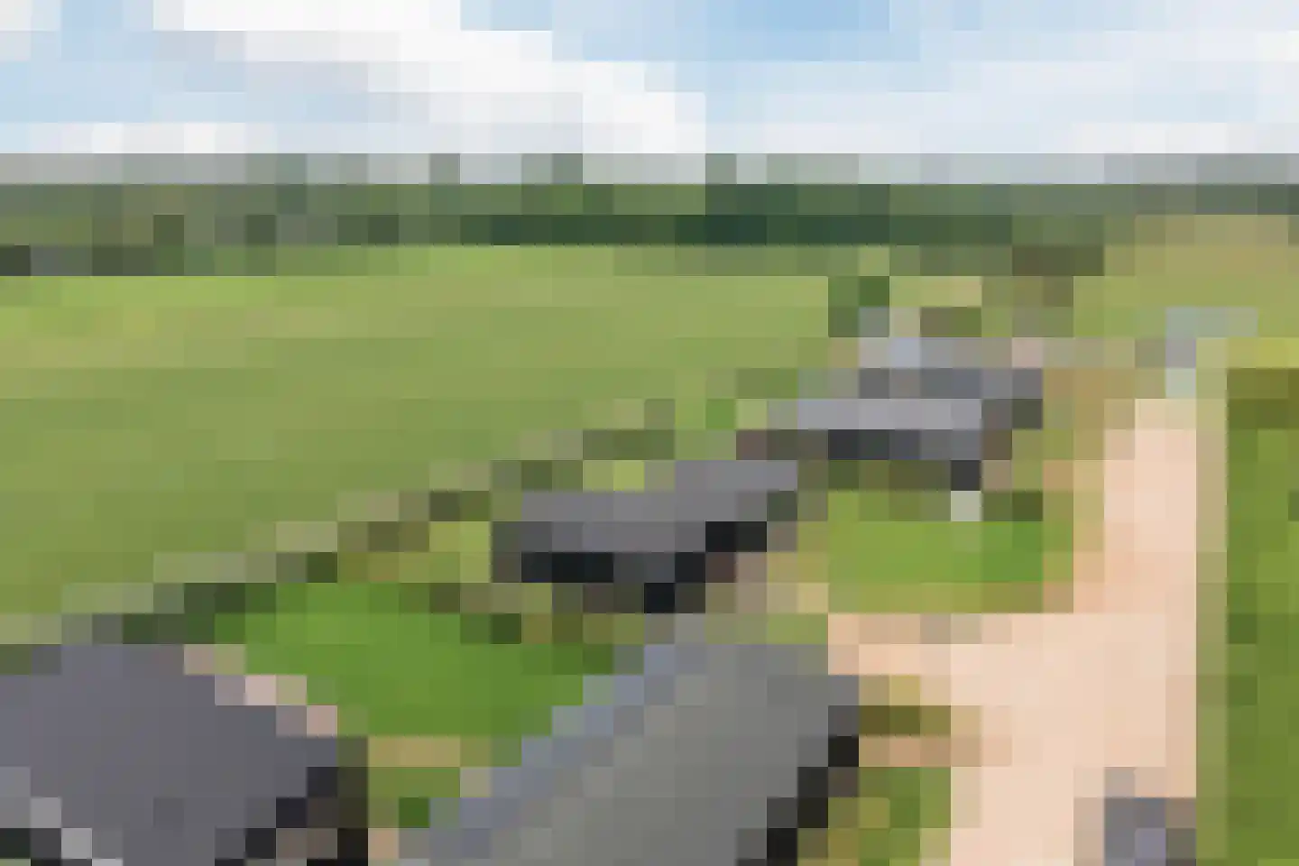 Mooyeveld 4 C 09 Egmond-Binnen thumbnail 4