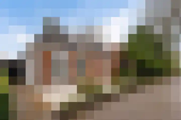 Moppenbuorren 7 Holwert