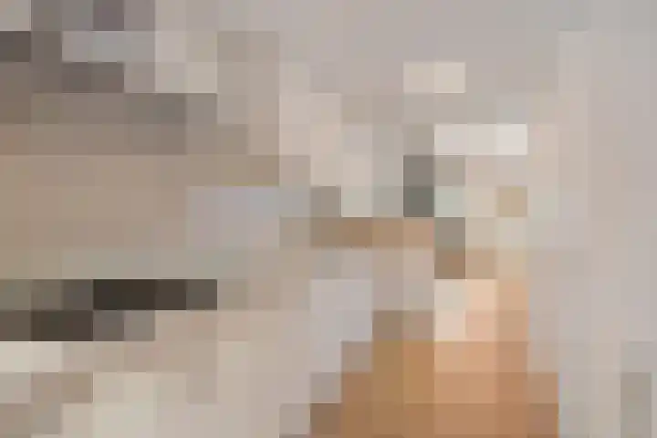 Moppenbuorren 7 Holwert thumbnail 11
