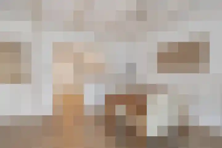 Moppenbuorren 7 Holwert thumbnail 13