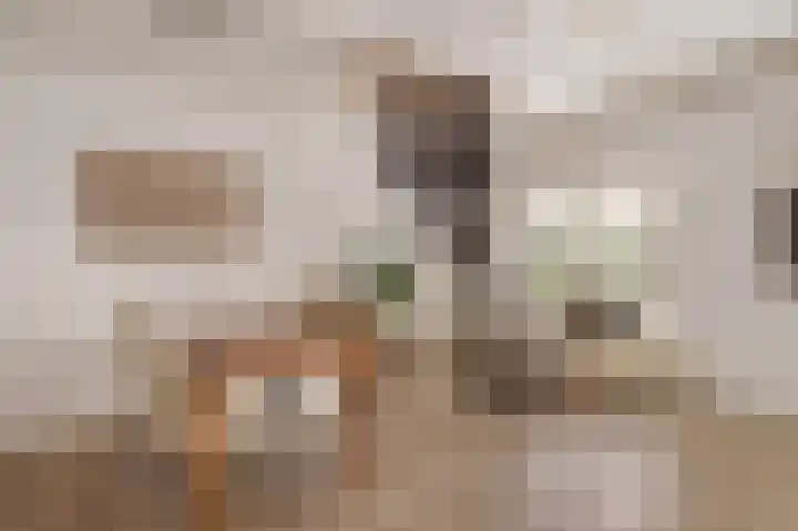 Moppenbuorren 7 Holwert thumbnail 18