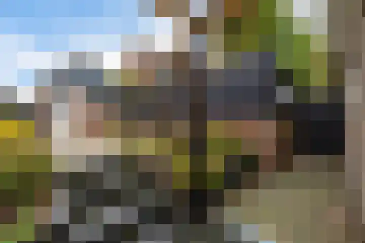 Moppenbuorren 7 Holwert thumbnail 24