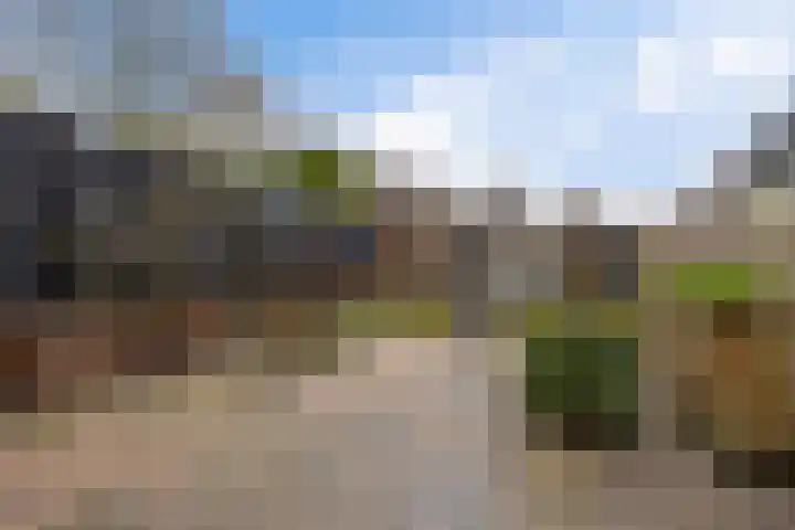 Moppenbuorren 7 Holwert thumbnail 25