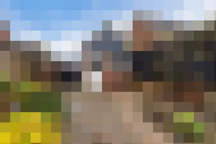 Moppenbuorren 7 Holwert thumbnail 26
