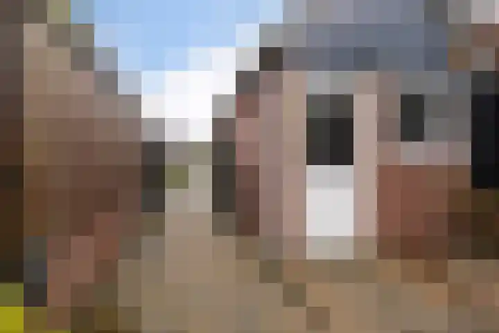 Moppenbuorren 7 Holwert thumbnail 27