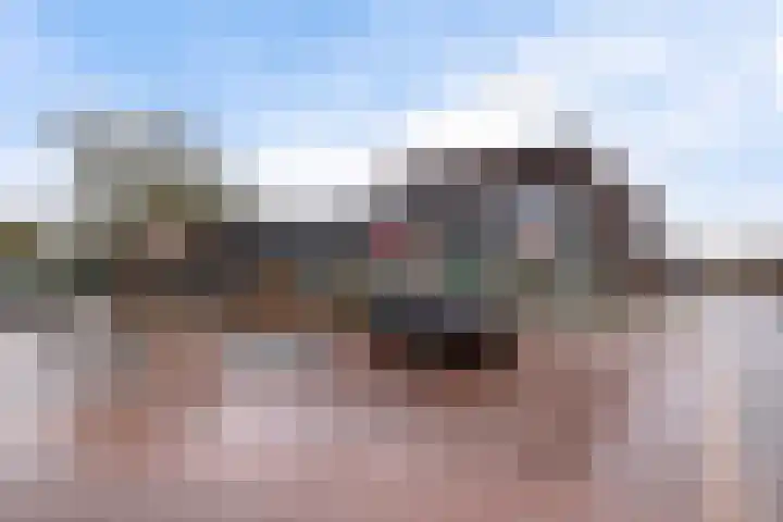 Moppenbuorren 7 Holwert thumbnail 30