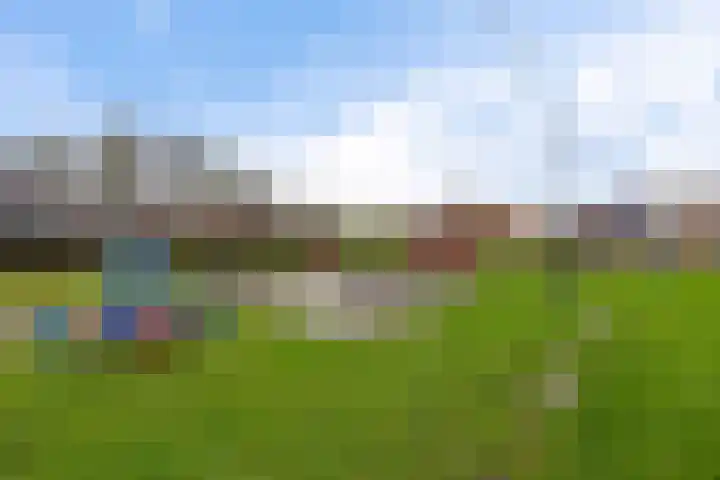 Moppenbuorren 7 Holwert thumbnail 33