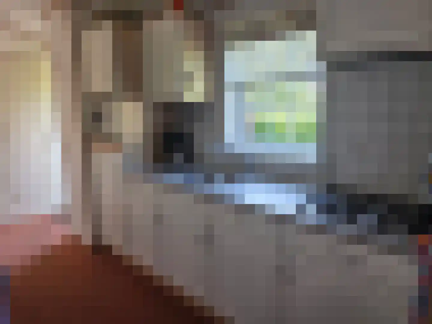 Moraineweg 20 78 Spier thumbnail 7