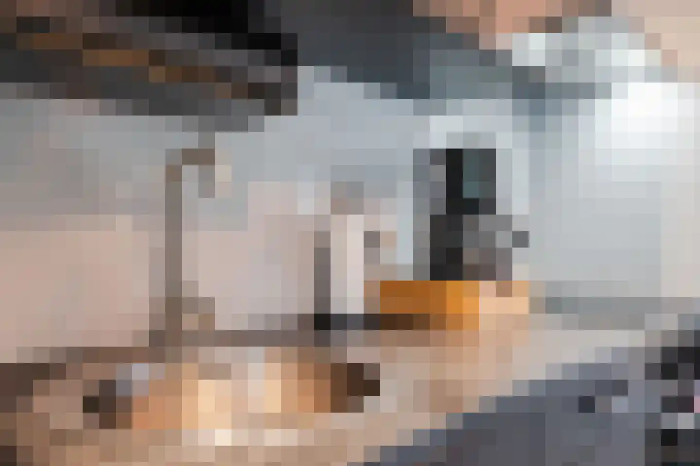 Moraineweg 20 L 210 Spier thumbnail 14