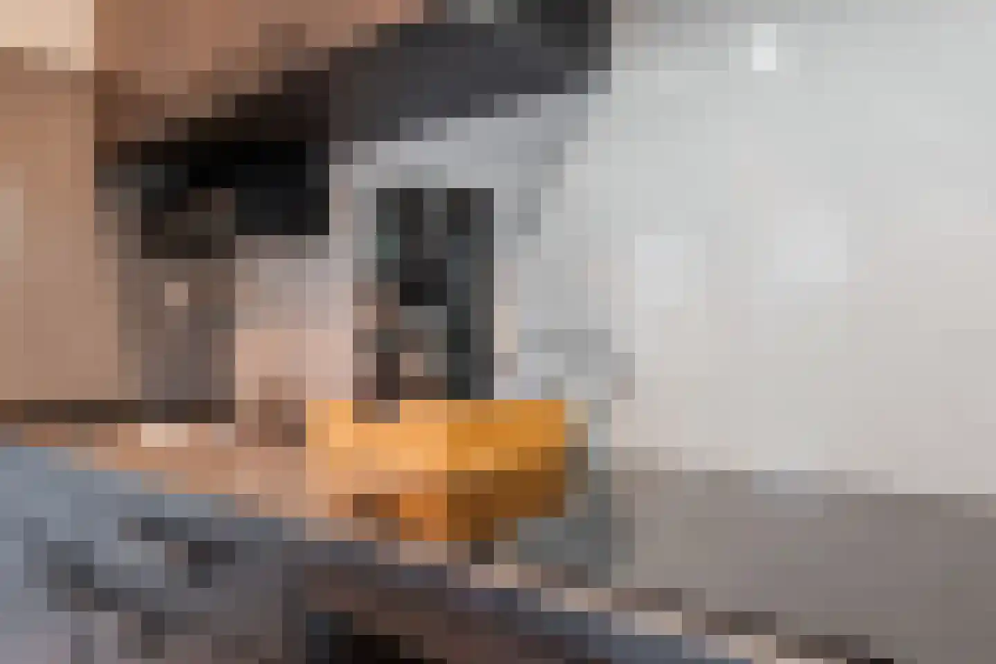 Moraineweg 20 L 210 Spier thumbnail 15