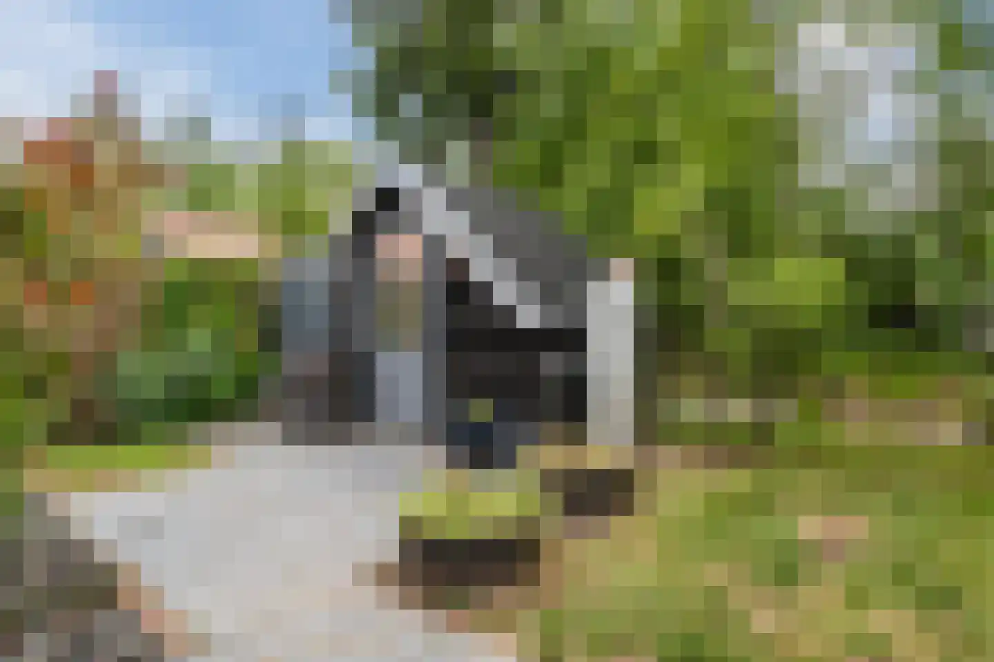 Moraineweg 20 L 210 Spier thumbnail 29