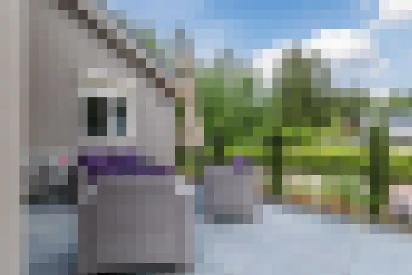 Moraineweg 20 L 210 Spier thumbnail 32