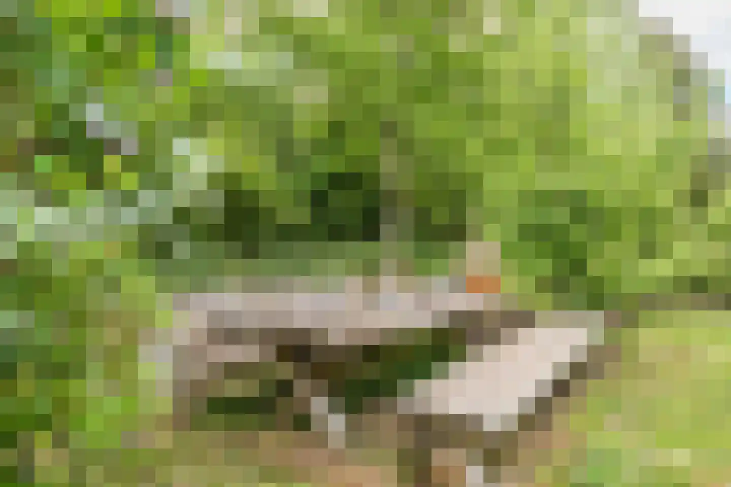 Moraineweg 20 L 210 Spier thumbnail 39