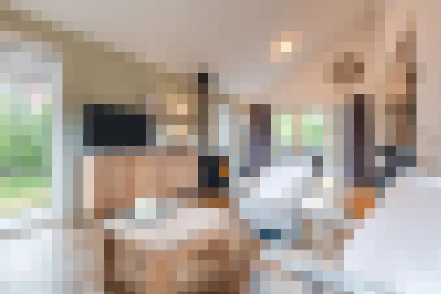 Moraineweg 20 L 210 Spier thumbnail 7