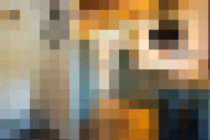 Moraineweg 20 L 211 Spier thumbnail 10