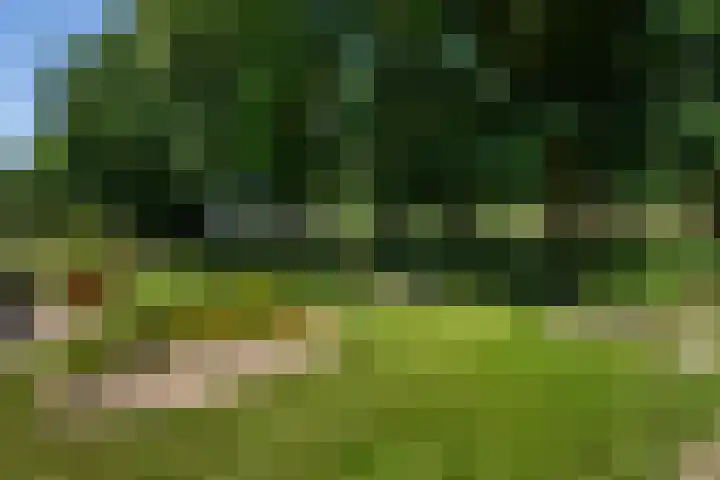 Moraineweg 20 L 211 Spier thumbnail 19