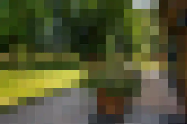 Moraineweg 20 L 211 Spier thumbnail 20