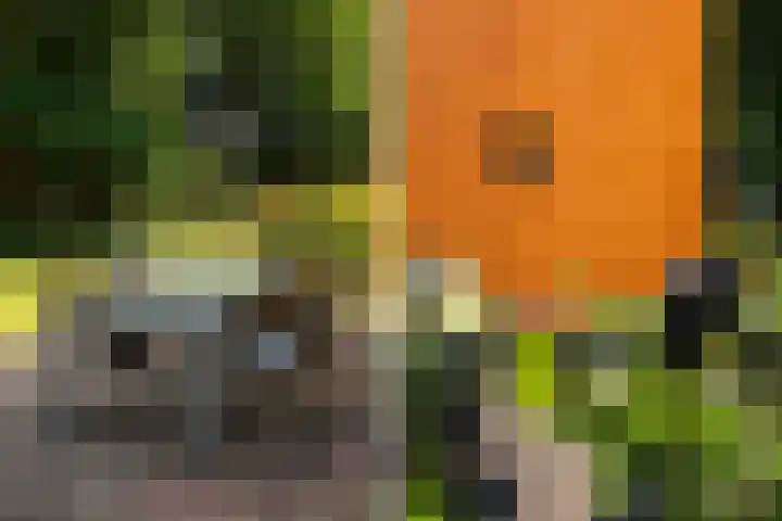 Moraineweg 20 L 211 Spier thumbnail 21