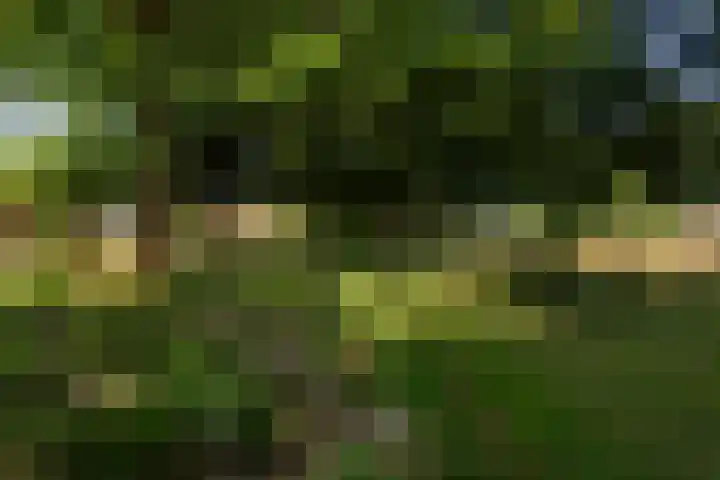Moraineweg 20 L 211 Spier thumbnail 23