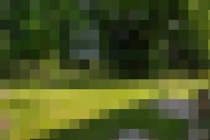 Moraineweg 20 L 211 Spier thumbnail 24