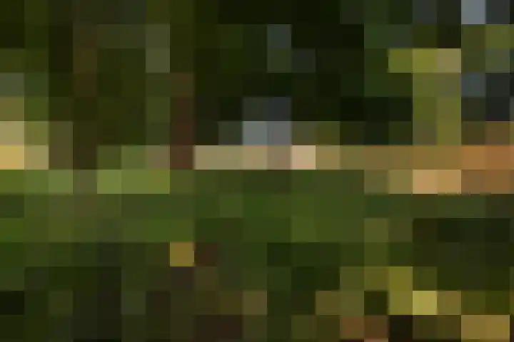 Moraineweg 20 L 211 Spier thumbnail 26