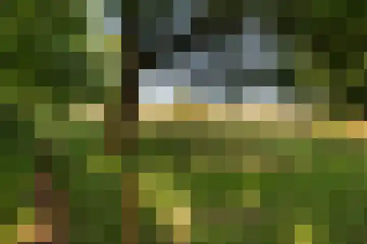 Moraineweg 20 L 211 Spier thumbnail 27