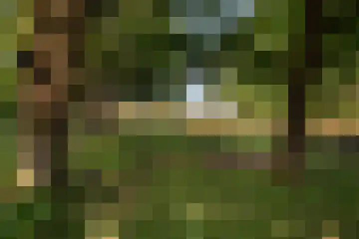 Moraineweg 20 L 211 Spier thumbnail 4