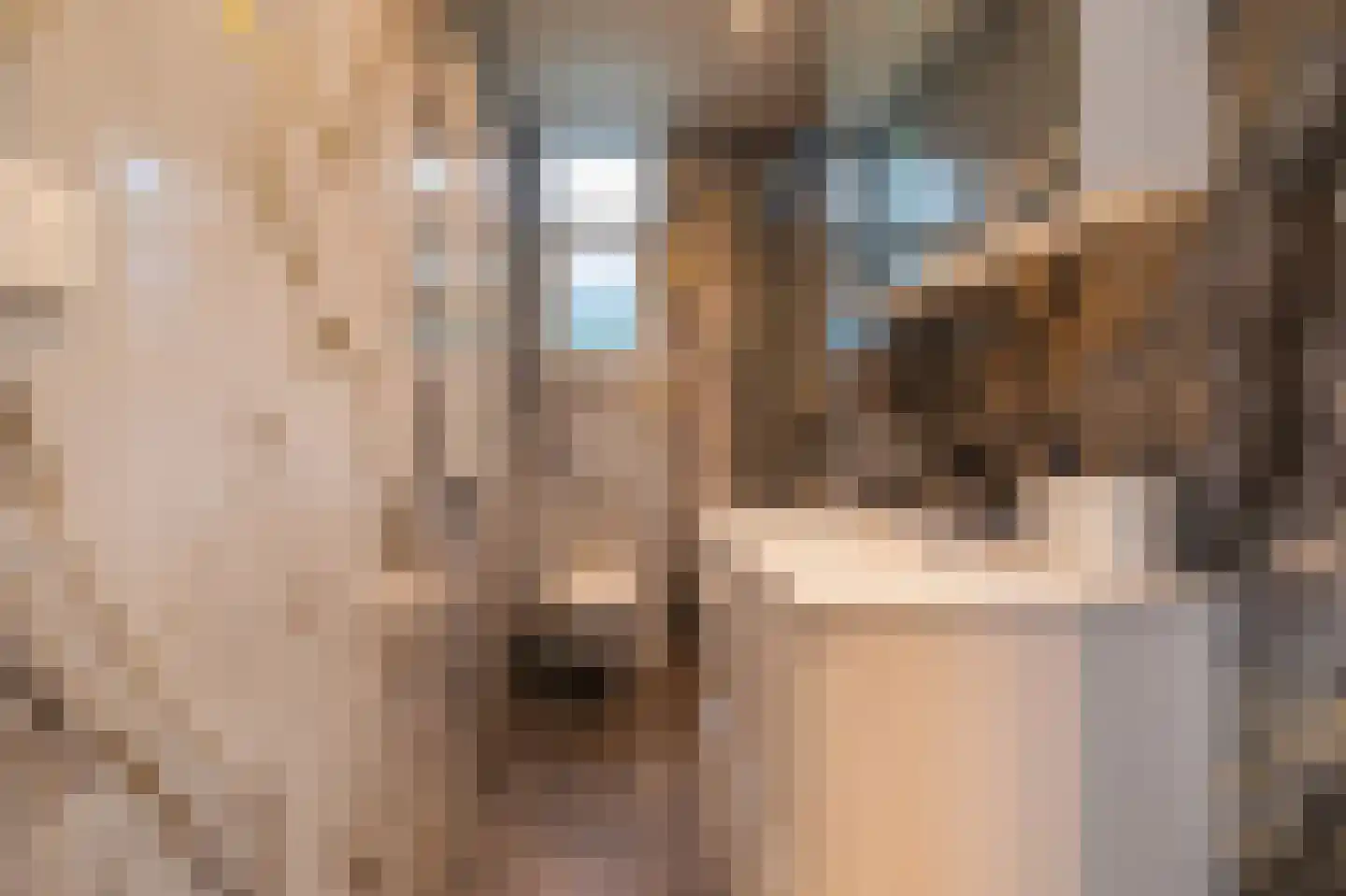 Moraineweg 20 Spier thumbnail 10