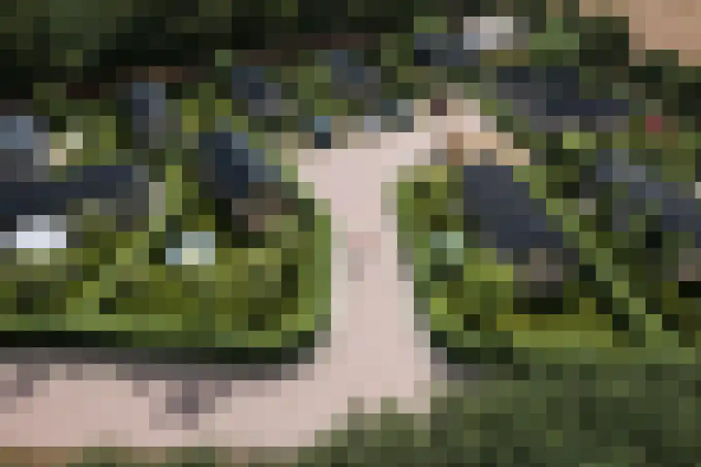 Moraineweg 20 Spier thumbnail 16