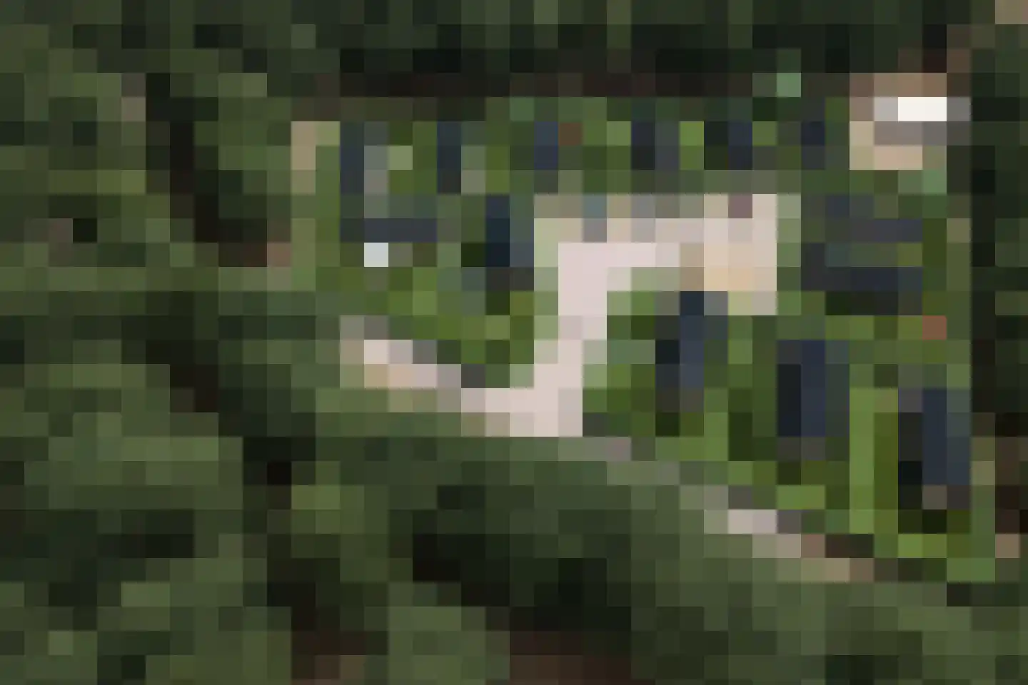 Moraineweg 20 Spier thumbnail 17