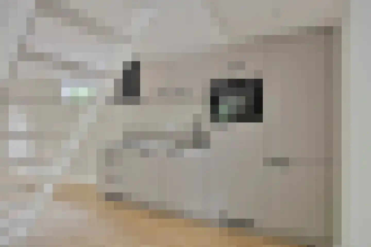 Moraineweg 20 Spier thumbnail 9