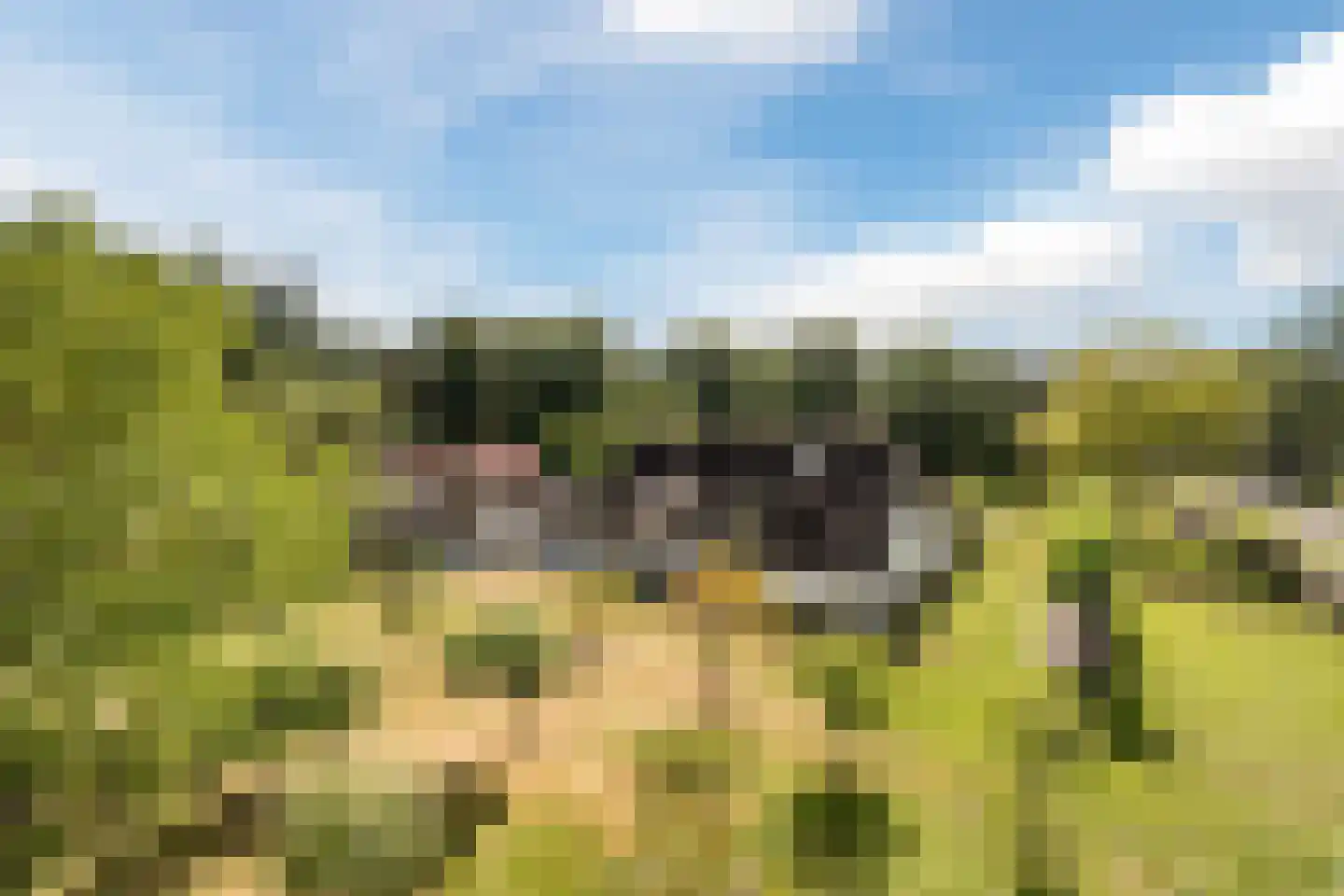 Moraineweg 22 in Spier