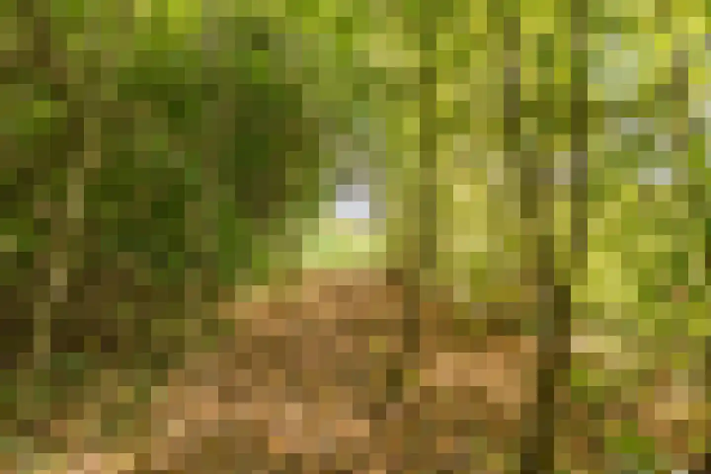 Moraineweg 22 Spier thumbnail 4