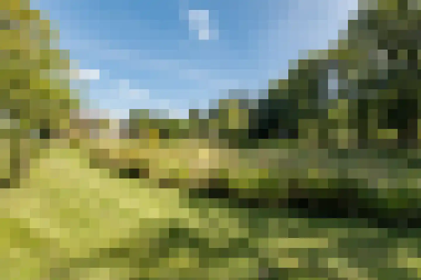 Moraineweg 22 Spier thumbnail 62