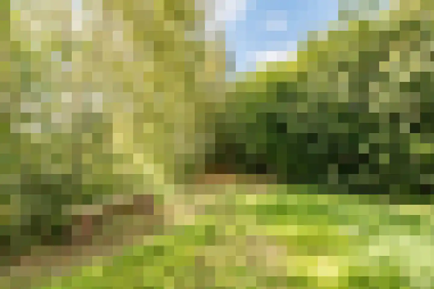 Moraineweg 22 Spier thumbnail 68