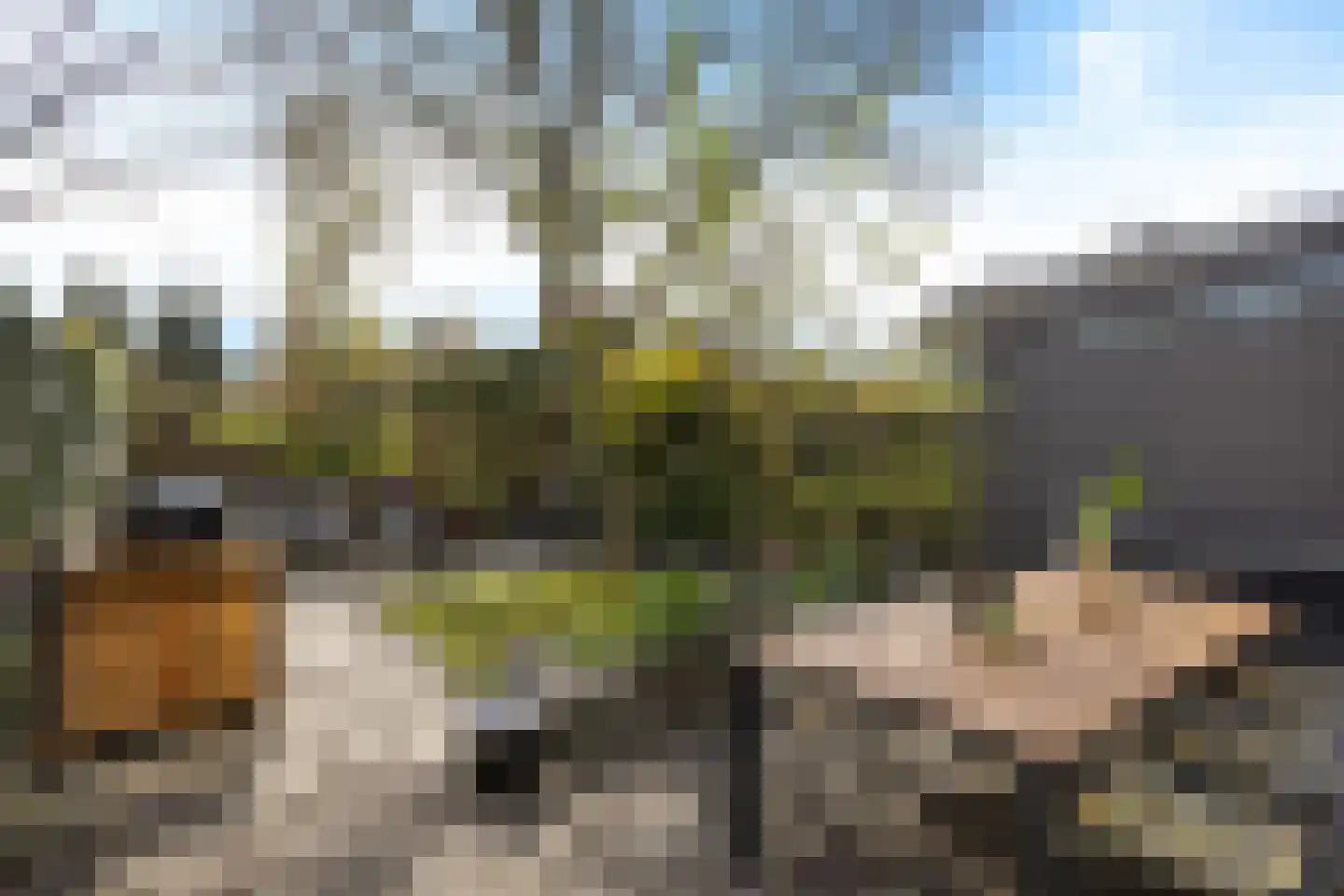 Morane 15 Soesterberg thumbnail 37