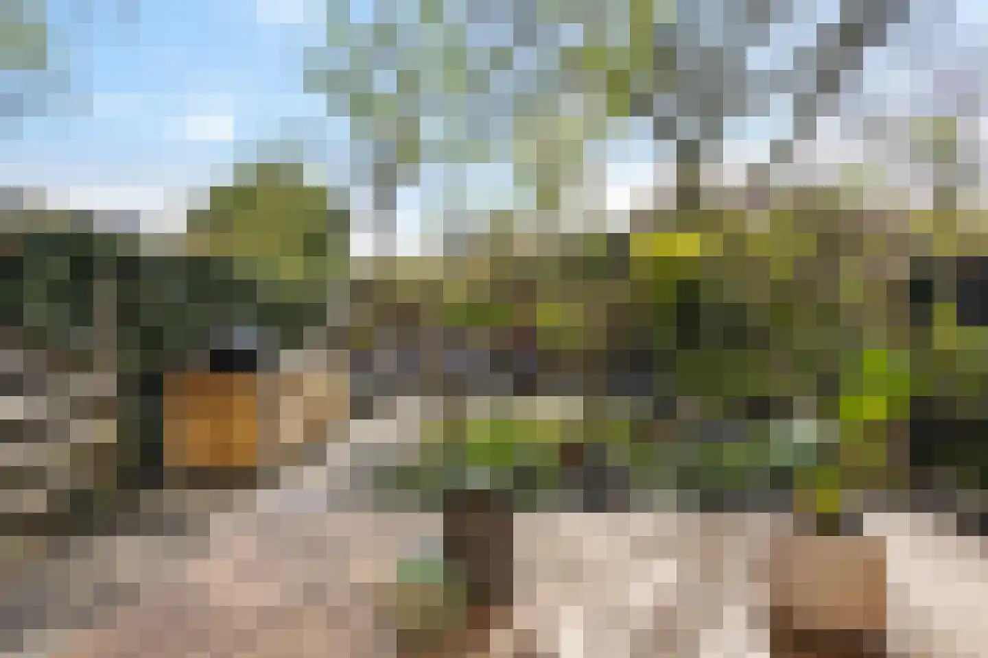 Morane 15 Soesterberg thumbnail 38