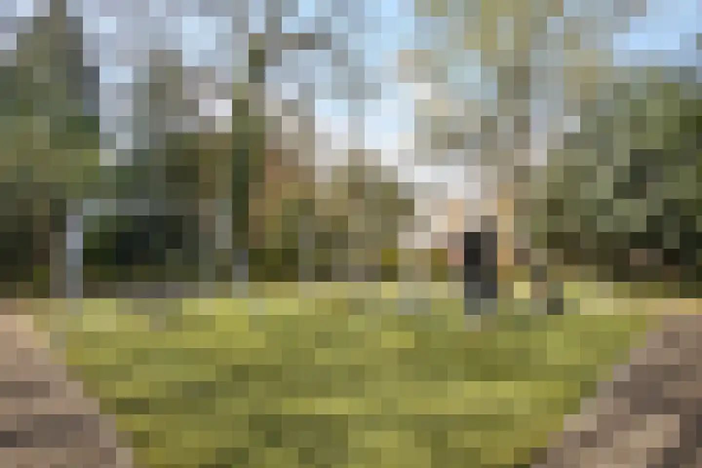 Morane 15 Soesterberg thumbnail 42
