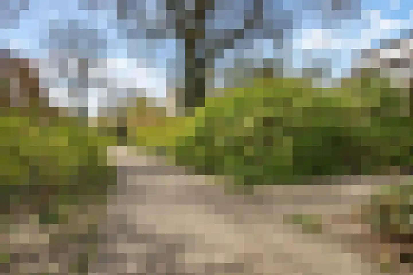 Morane 15 Soesterberg thumbnail 43