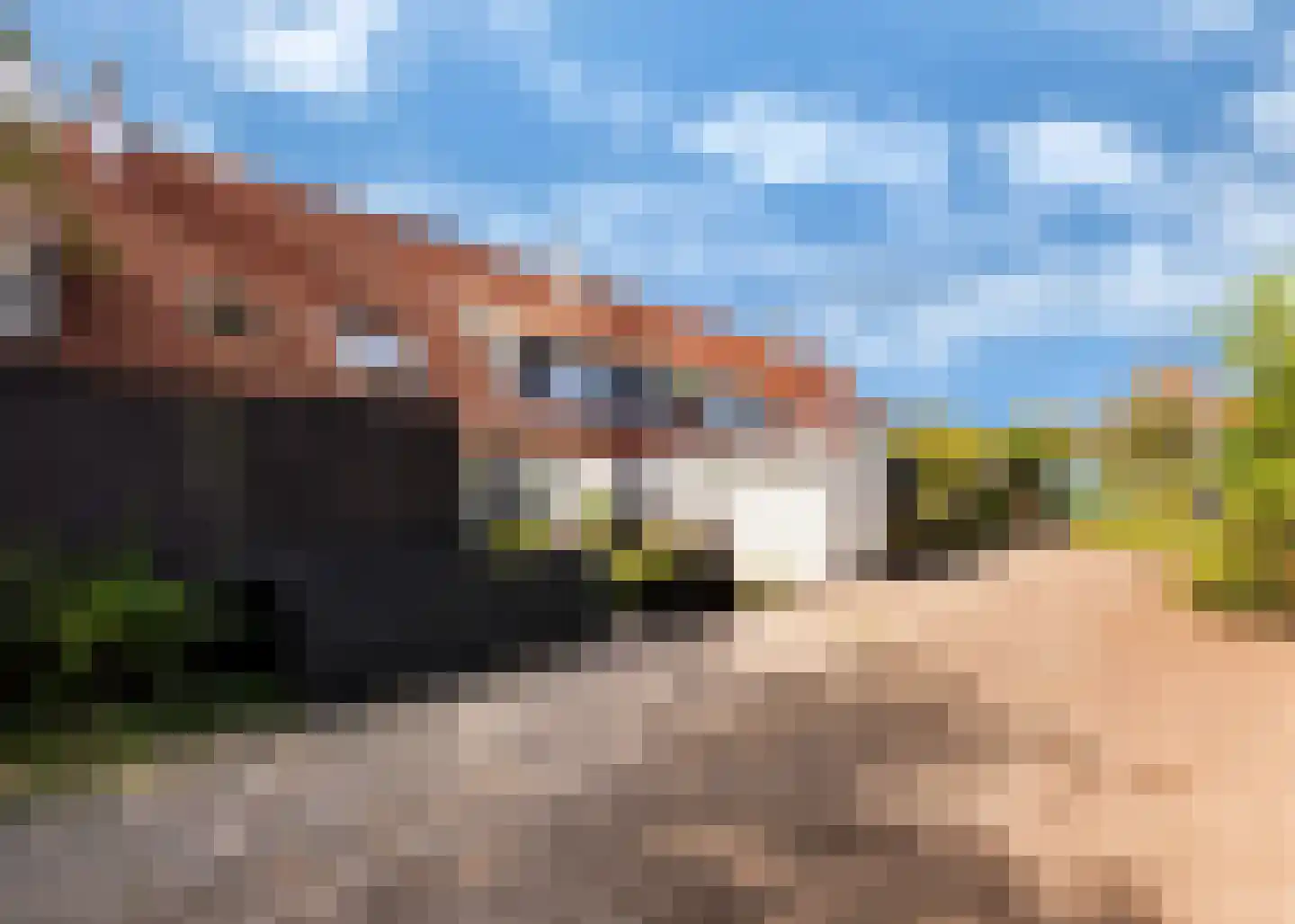 Moraviëstraat 11 Alkmaar thumbnail 36